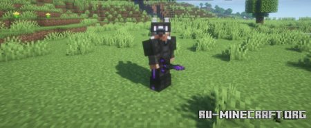 Скачать Ender Dragon Loot для Minecraft 1.20.1