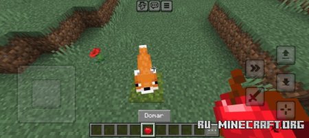      Minecraft PE 1.21