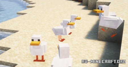  The Ducks  Minecraft 1.21.1