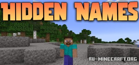 Скачать Hidden Names для Minecraft 1.21.4