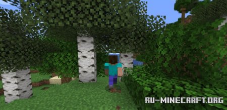  Hidden Names  Minecraft 1.21.4