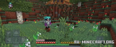    Minecraft PE 1.21