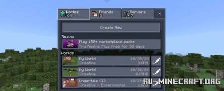    Minecraft PE 1.21