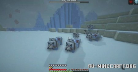  The Predators  Minecraft 1.19.2