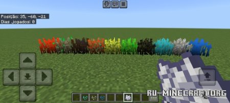      Minecraft PE 1.21