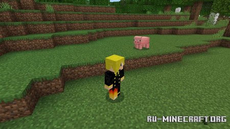     3   Minecraft PE 1.21